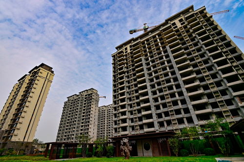 中央金融工作会议部署房地产新模式，行业利好信号释放